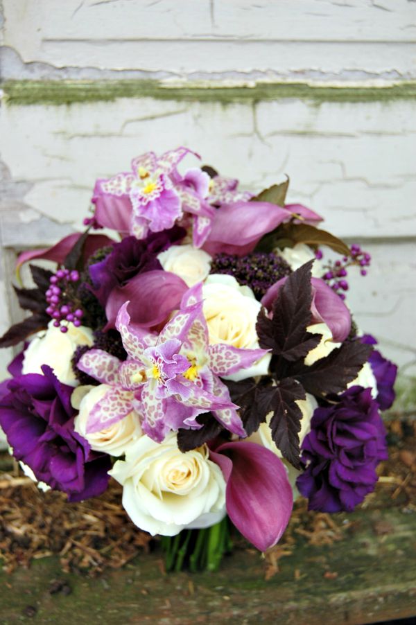 Polino Bouquet Top 600