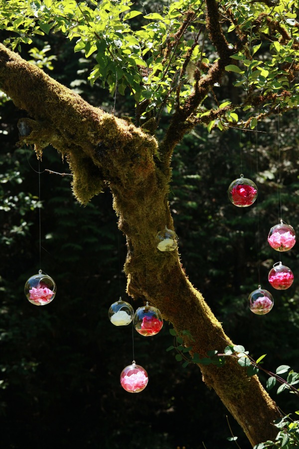 SWS_tour2015-0101fBlog