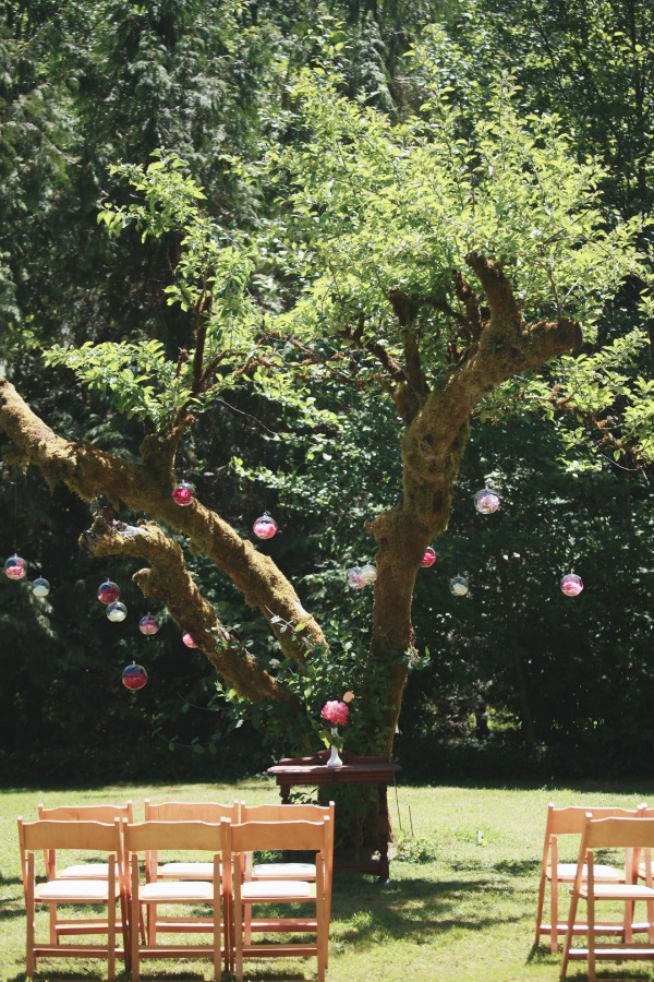 SWS_tour2015-0121fBlog