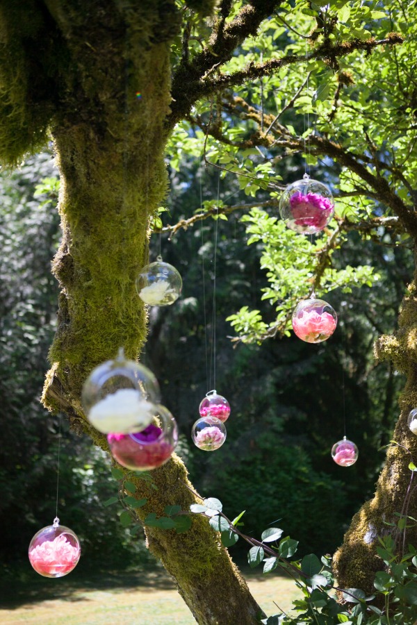 SWS_tour2015-0125Blog