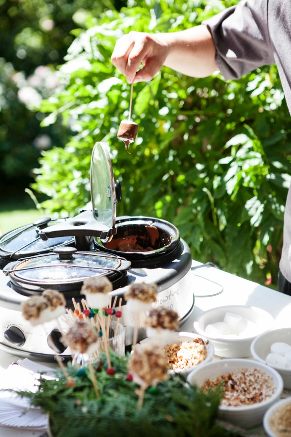 SWS_tour2015-029f5Blog