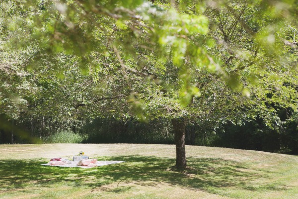 SWS_tour2015-0338fBlog