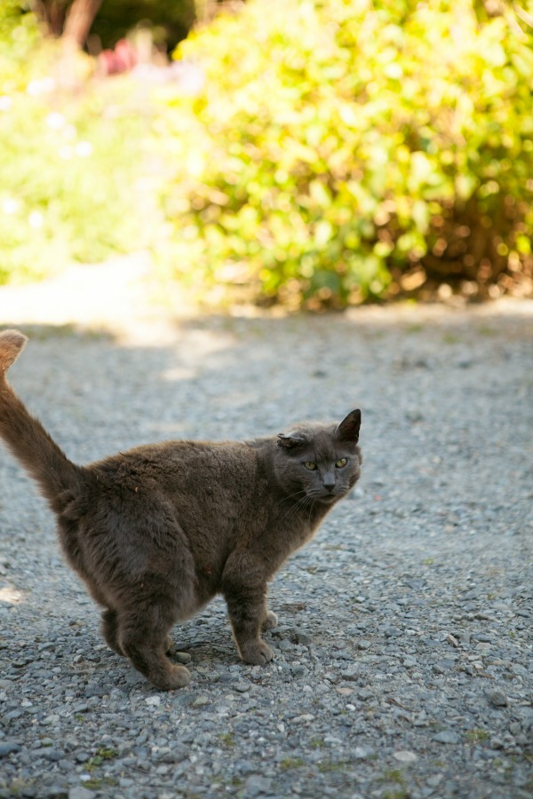 SWS_tour2015-0402Blog