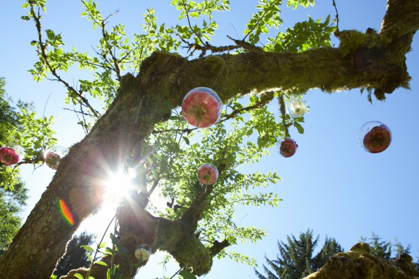 SWS_tour2015-0464Blog