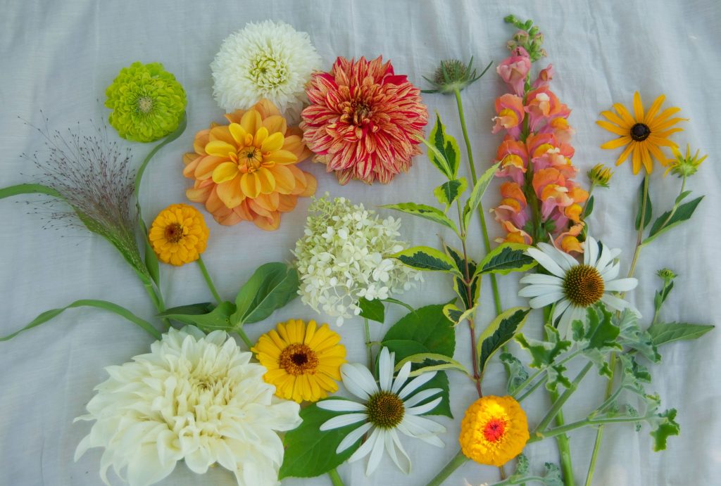 Citris and Cream Palette