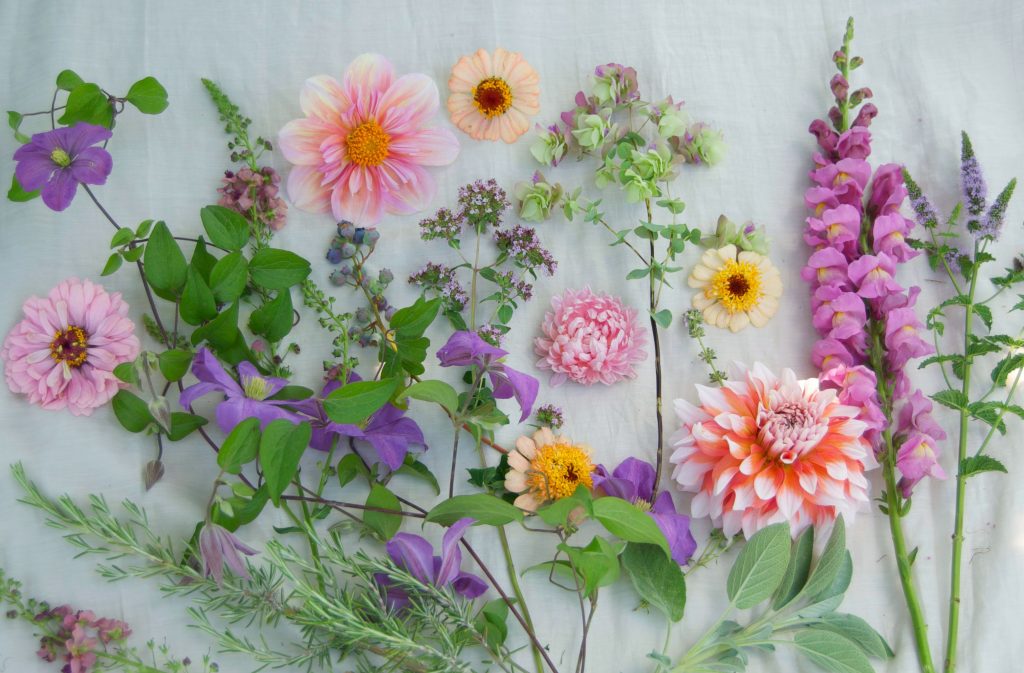 Peach and Lavender Palette