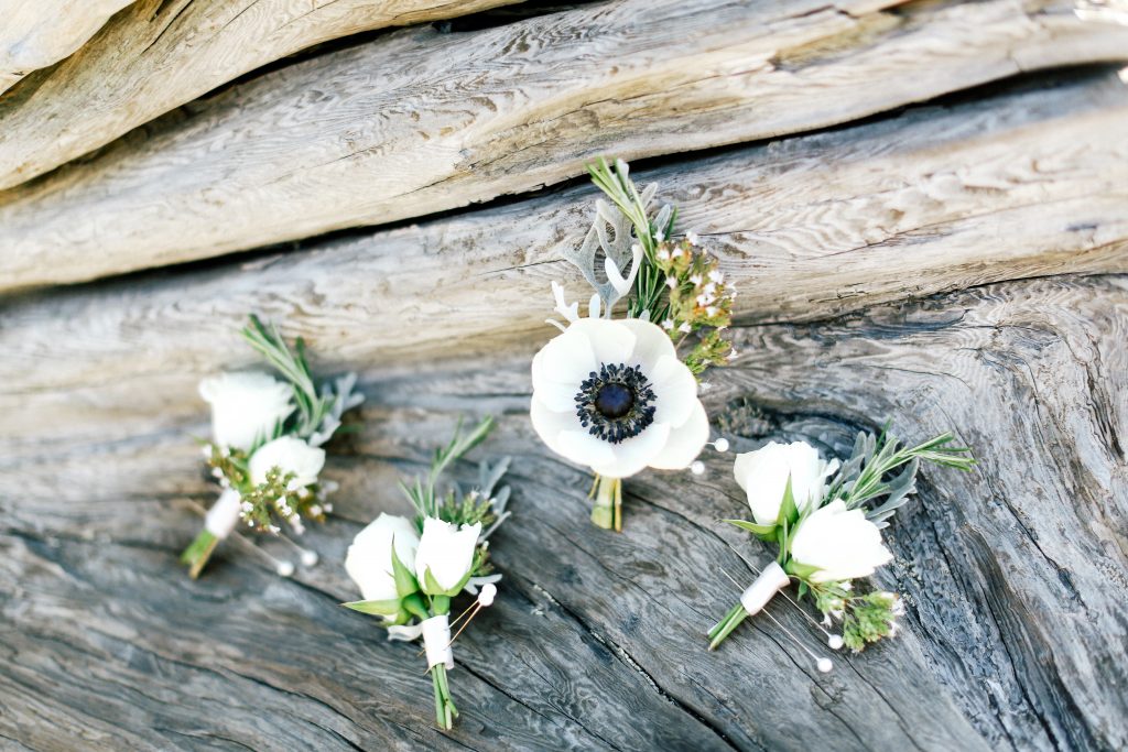 View More: http://featherandtwine.pass.us/therays