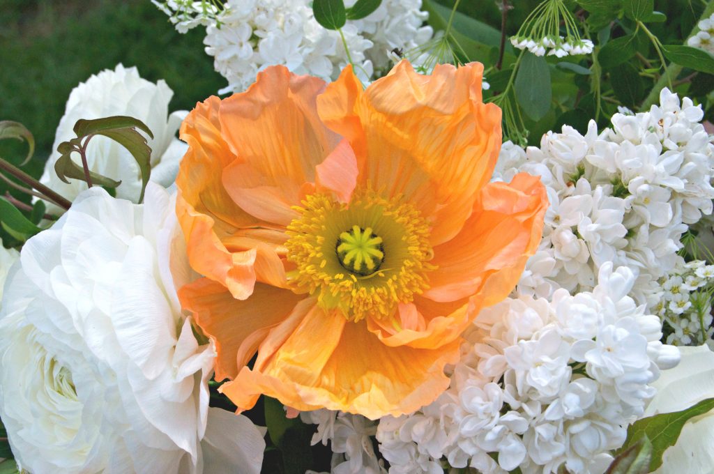 CountryBouquetsFloral-SeasonalArrangement-PeachesAndCream-03