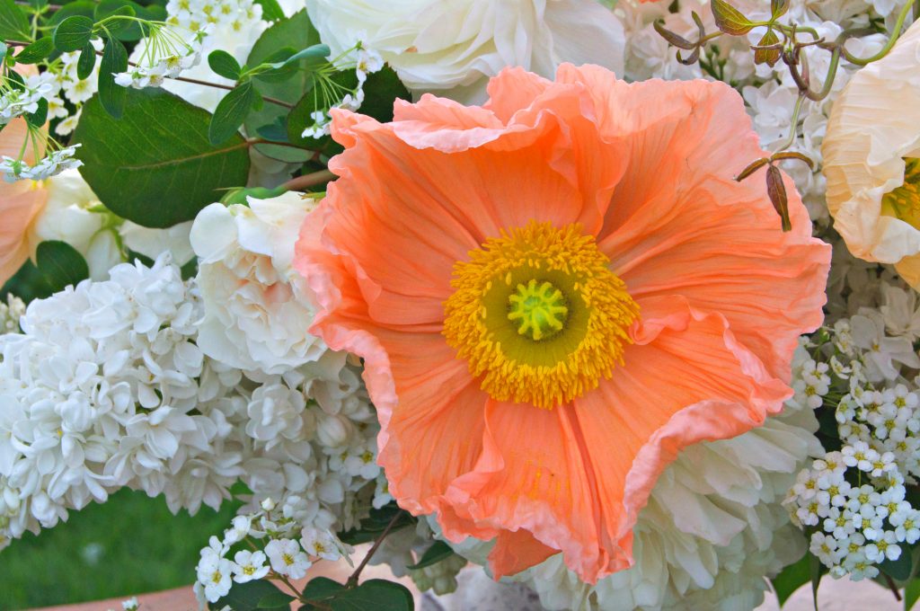 CountryBouquetsFloral-SeasonalArrangement-PeachesAndCream-04