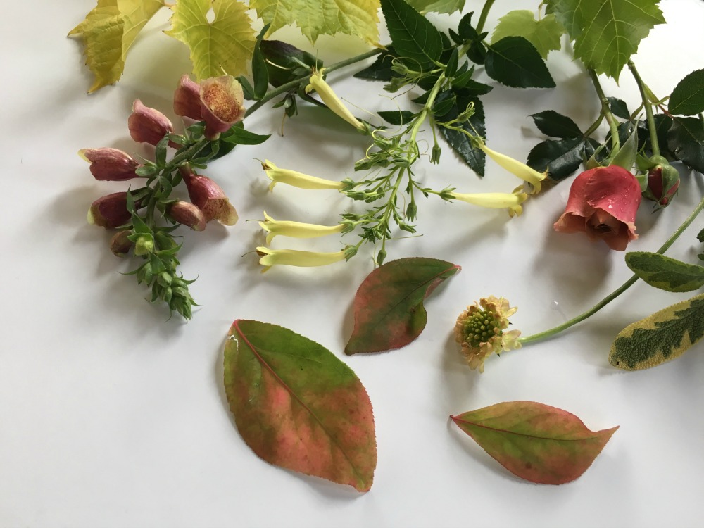 countrybouquetsfloral-blog-pear-004